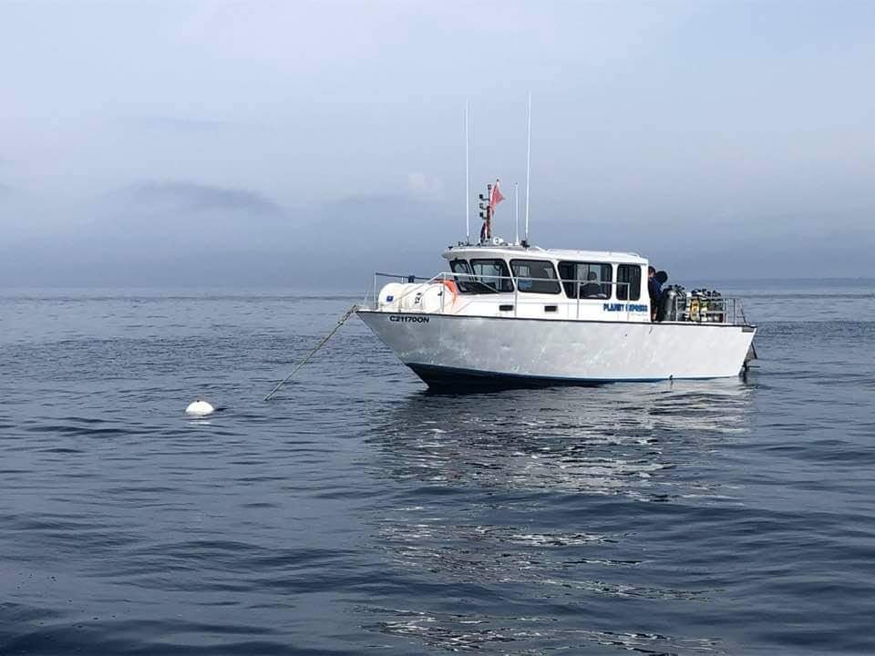 PLANET EXPRESS on mooring